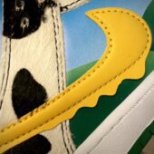 Ben & Jerry’s x Dunk Low SB ‘Chunky Dunky’ Special Ice Cream Box photo review